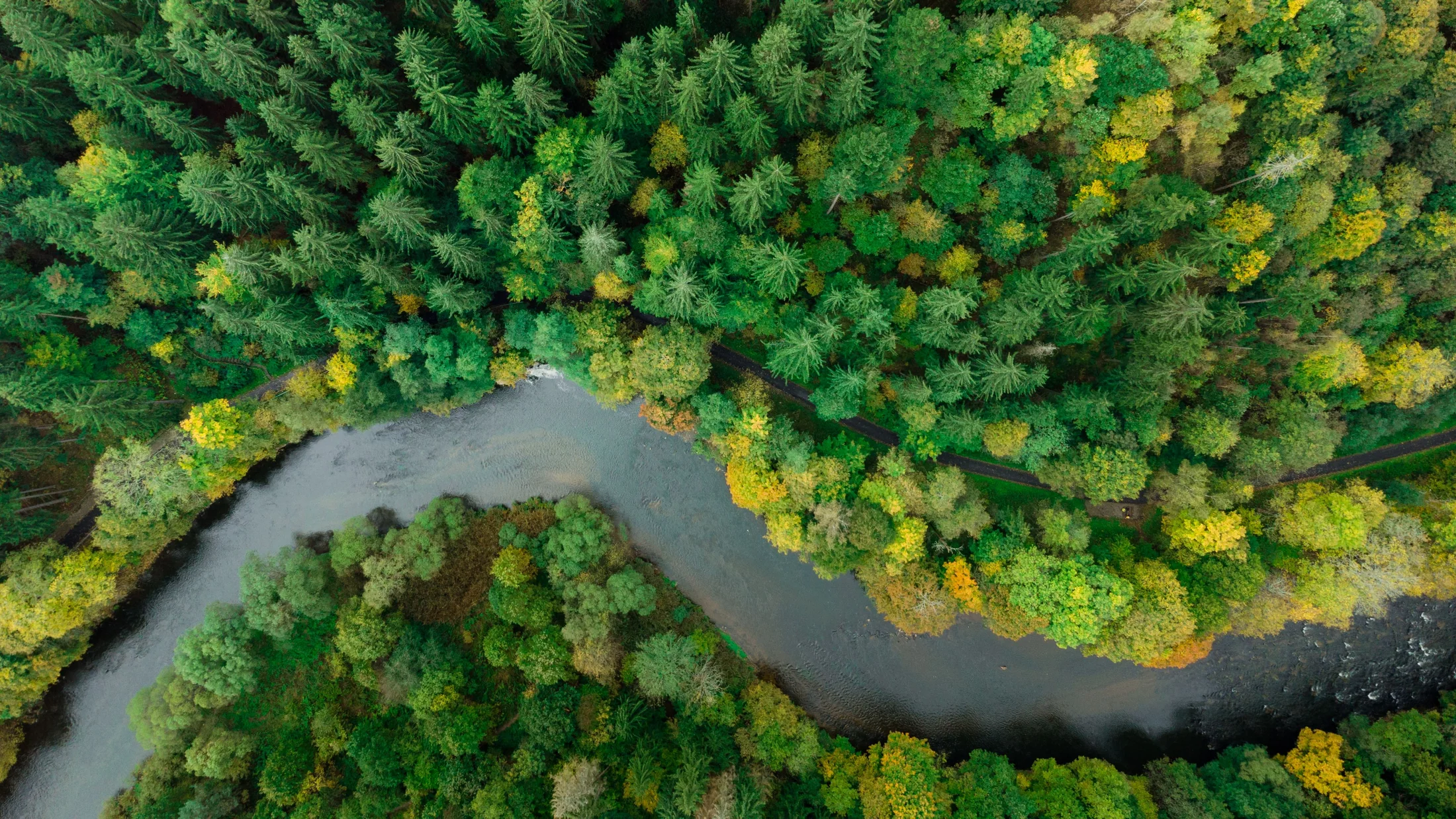 Dependable Packaging,Sustainable Future 